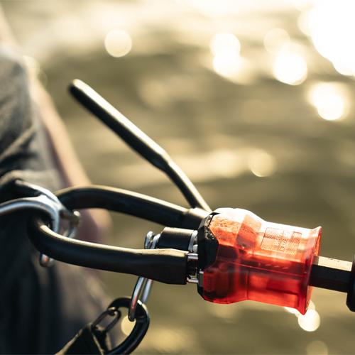 Der Wächter V1Slingshot Sport