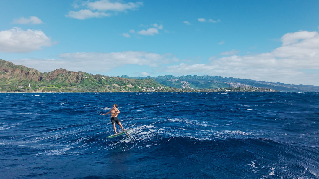 Bienvenue dans la famille Edo Tanas